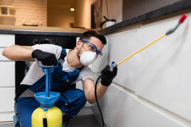 Best Mosquito Control Services  in Four Cners, OR