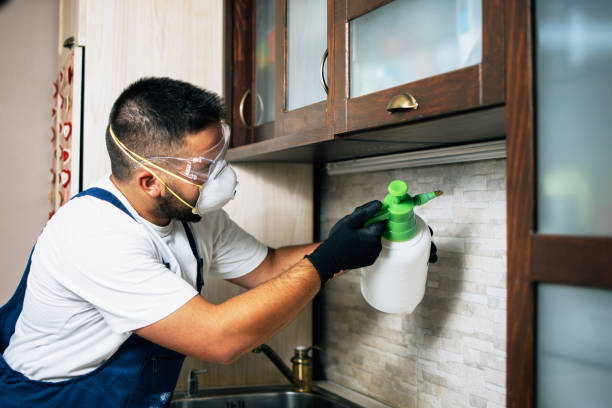 Best Local Pest Control Services  in Four Cners, OR