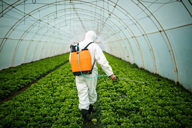 Best Pest Prevention Services  in Four Cners, OR