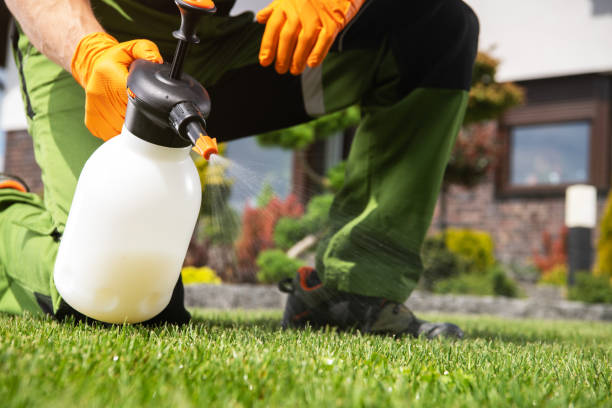 Best Wasp Removal Services  in Four Cners, OR