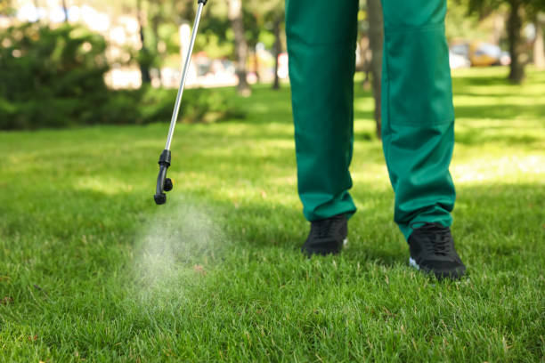 Best Affordable Pest Control Services  in Four Cners, OR
