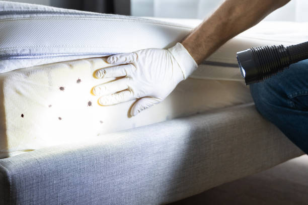 Best Pest Removal Services  in Four Cners, OR