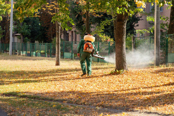 Best Best Pest Control Companies  in Four Cners, OR