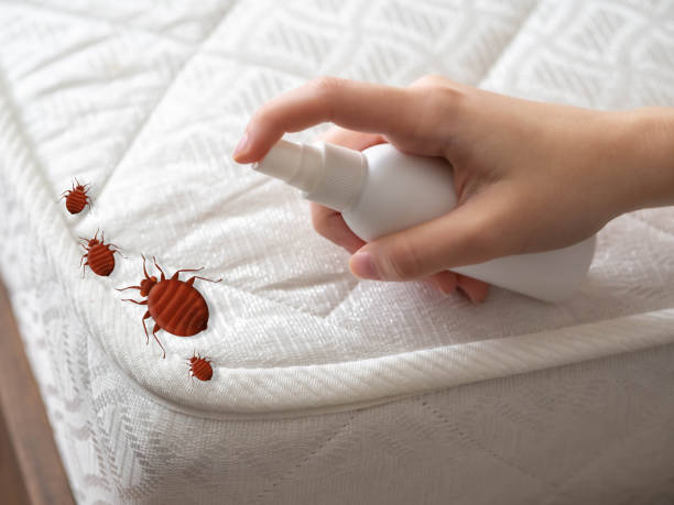 Pest Control Cost in Four Corners, OR